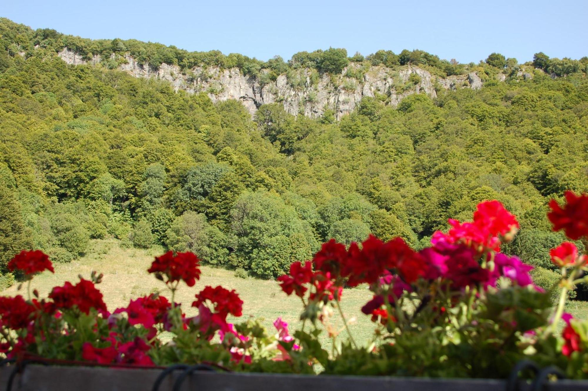 Aux 500 Diables Eco Lodge - Hotel Chambon-sur-Lac Dış mekan fotoğraf